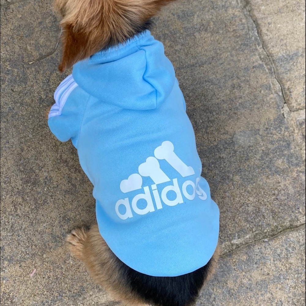 Adidog hoodie